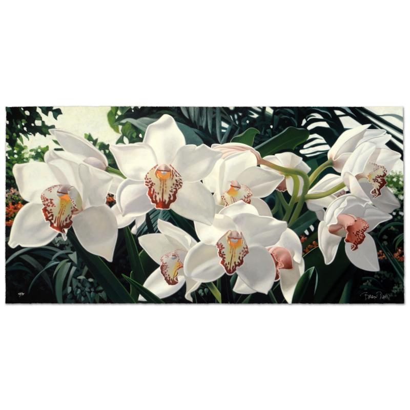208984 Cymbidiums In Love