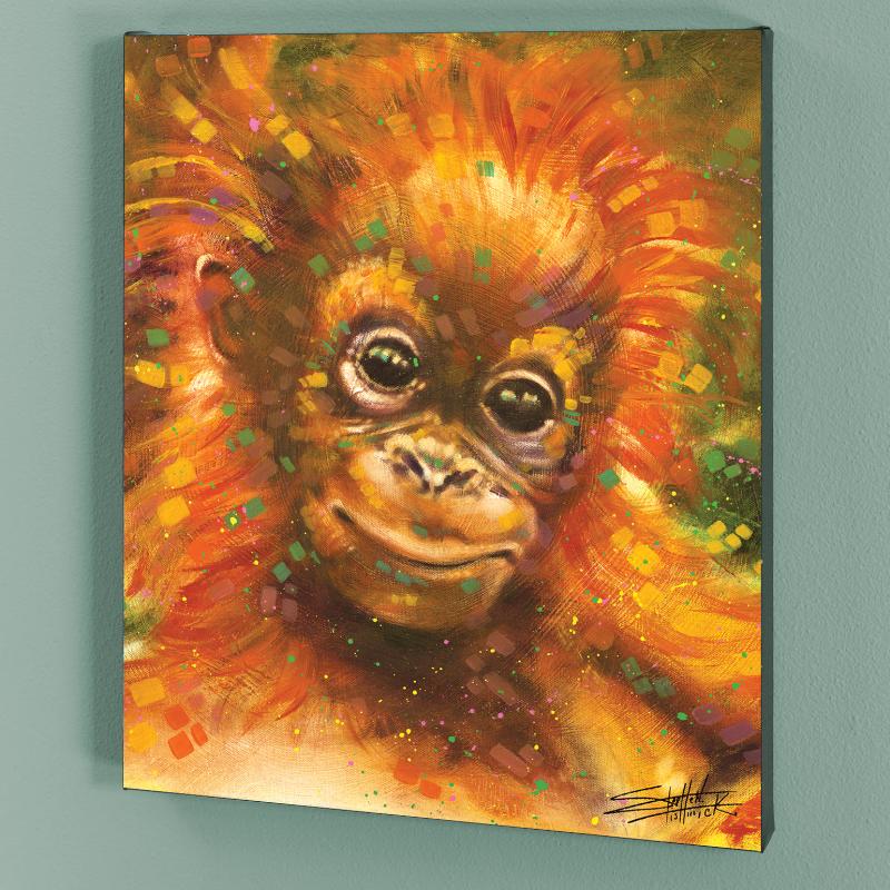 171300 Baby Orangutan