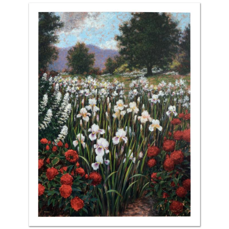 208989 Irises In A Meadow