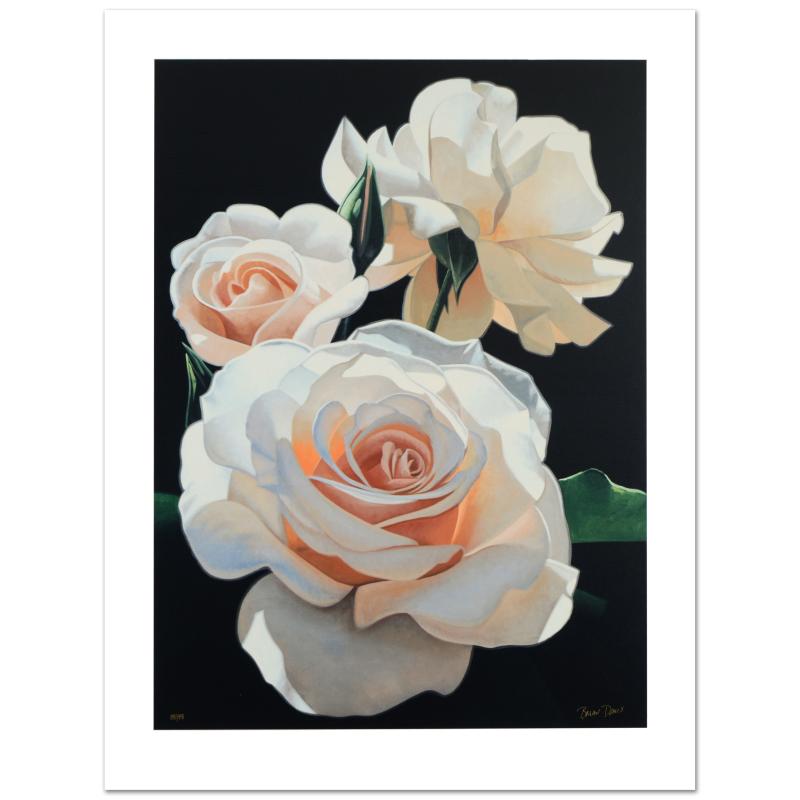 208999 Three Fragrant Delight Roses